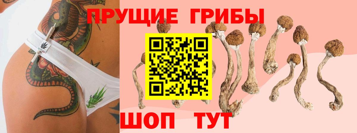 Псилоцибиновые грибы ЛСД Верхний Уфалей
